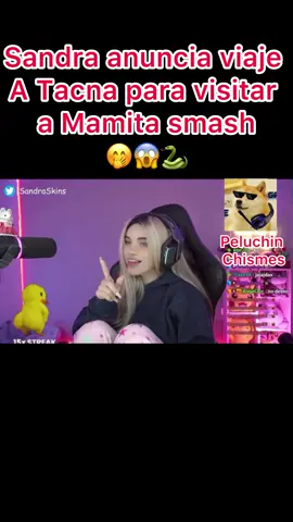 Mamita Sandra anuncia regreso a Tacna solo para visitar a mamita smash junto a mi prosor mis papitos de regreso 😱🙏🏻🐍🐗❤️#sandraskins #smashdota #kick #peru🇵🇪 #dota2 