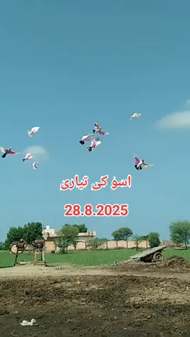 عامر بلوچ 