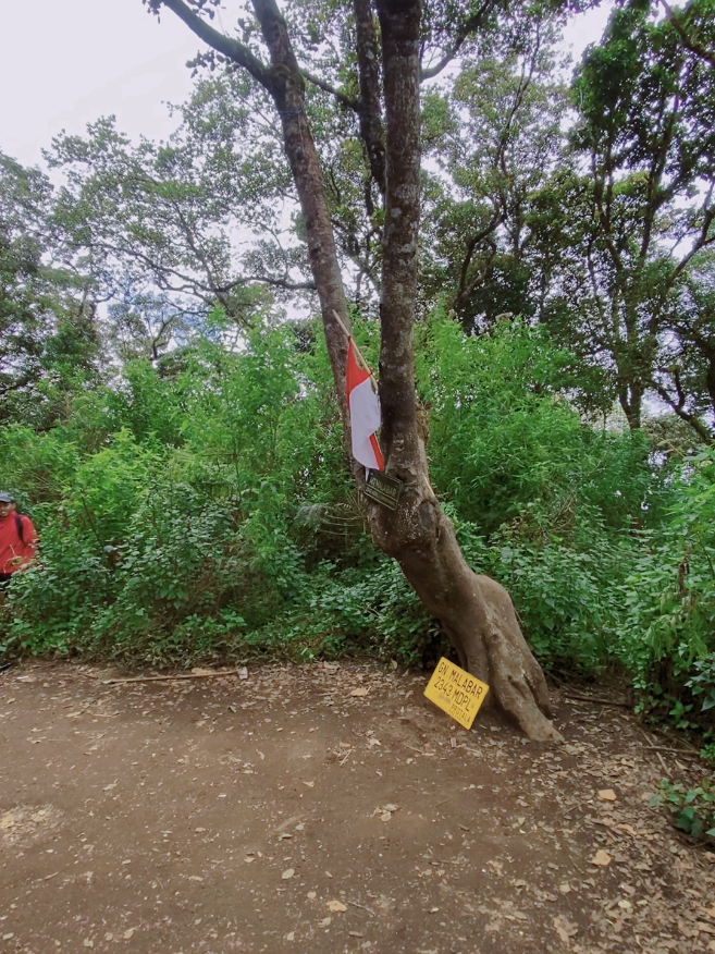 Tanjakan sampai puncak #fyp #fyppppppppppppppppppppppp #muncak #gunungmalabar #gunungmalabar2343mdpl 