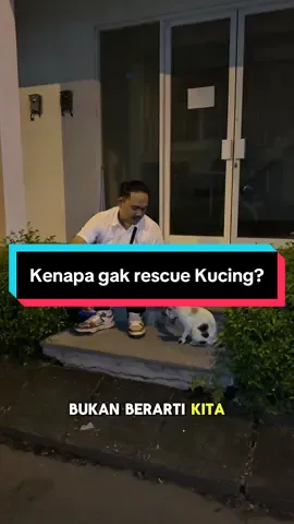 Membalas @kilaa🧚🏻‍♀️ Bukan kita tidak peduli hanya saja kita kita memiliki batas kemampuan yang tidak mungkin kita lampaui, dan juga shelter itu bukan tempat untuk mengumpulkan hewan, namun shelter itu adalah rumah singgah dimana mereka yang membutuhkan bantuan ditolong dan berusaha untuk dicarikan keluarga yang mampu menyayangi mereka dengan baik dan benar, maaf apabila banyak case kucing yang kita arahkan ke tempat lain atau bahkan belum kita respon. Bukan kita tidak peduli namun kita berusaha untuk maksimal dalam merawat anak anak bulu yang kita selamatkan, dan jangan marah ya temen temen.. tanggungan shelter itu berat 😭😭😭 #catlover #dogshelter #shelterdog #doglove #fyp 