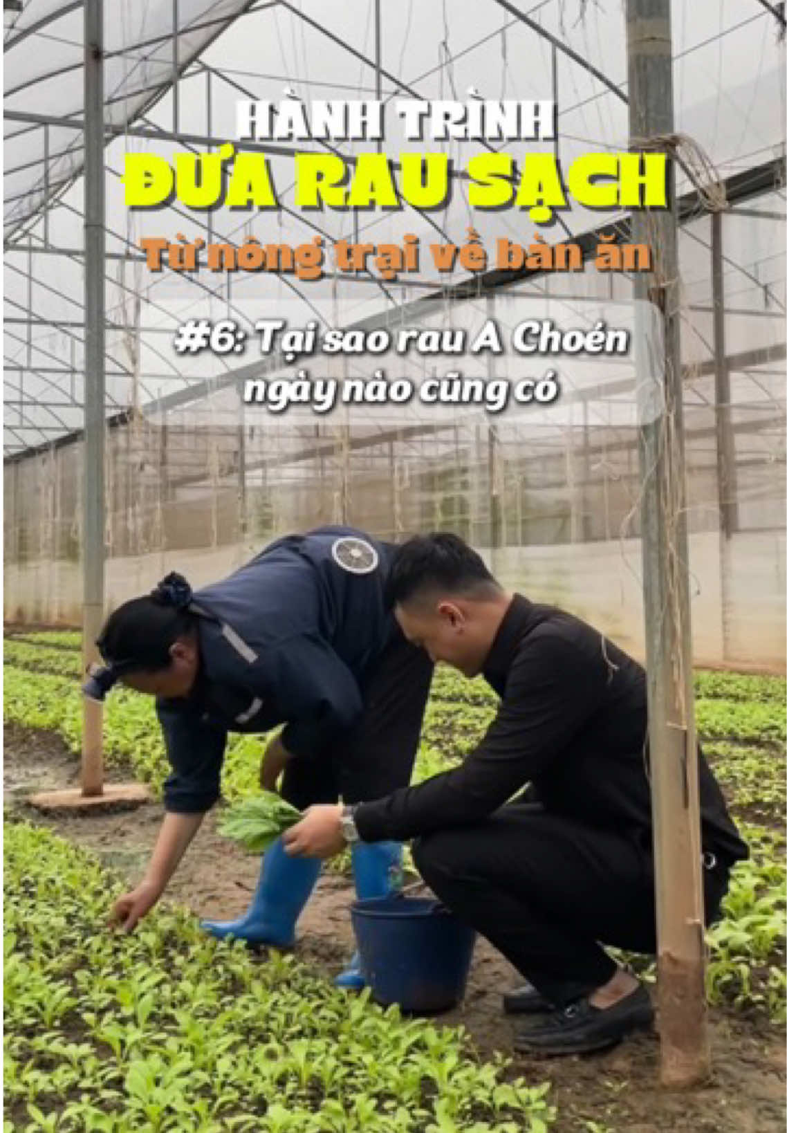 Cho anh em hay thắc mắc A Choén tự trồng rau mà lấy đâu ra nhiều thế 😉 #achoen #LearnOnTikTok #LearnOnTikTok 