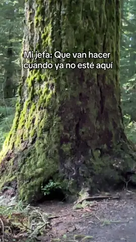 Ojalá siempre estés conmigo jefa #viral #
