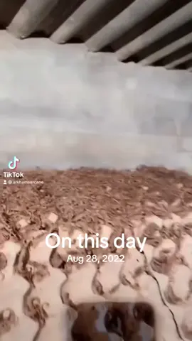 #onthisday 