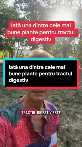 Iată una dintre cele mai bune plante pentru tractul digestiv #detoxifiere #regenerarecelulara #antiaging #întinerirea #hidratare 