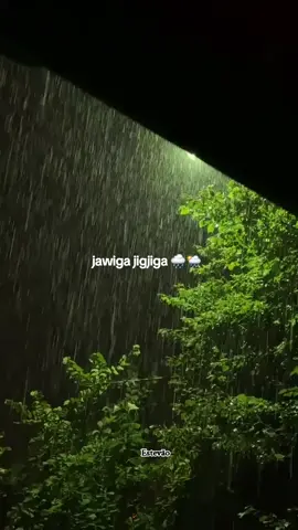 #jigjiga_somali_galbeed #jigjiga_somali_galbeed #jigjiga_somali_galbeed #jigjiga_somali_galbeed #jigjiga_somali_galbeed 