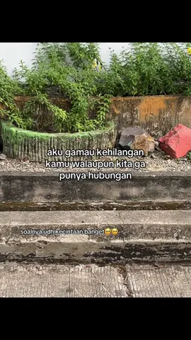 ##galaubrutal 