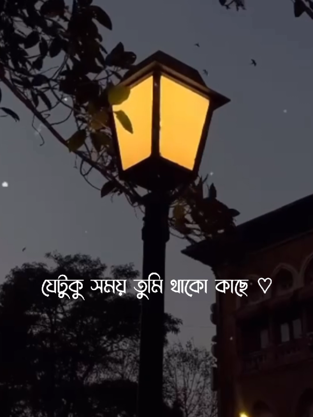 Feel This Song