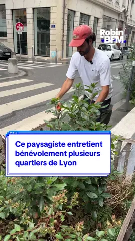 @Robin Gervais Vertu Paysages entretient bénévolement plusieurs quartiers de Lyon #lyon #paysagiste #benevolat #sinformersurtiktok 