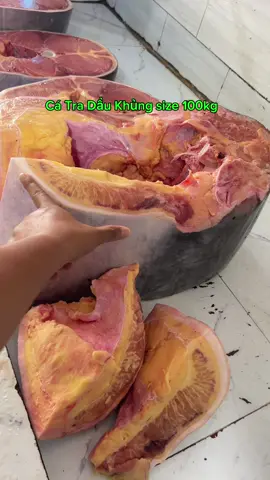 Cá Tra Khủng