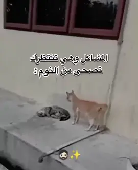#اكسبلورexplore #fyp 