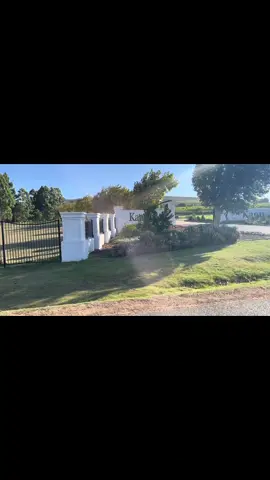 Passing through the beautiful Stellenbosch wine route. Captured April 2025 en route to Pniel collecting protea wreaths for Daddy’s funeral. #capetown #tourism #southafricatiktok #southafrica #fypシ゚viral🖤tiktok 