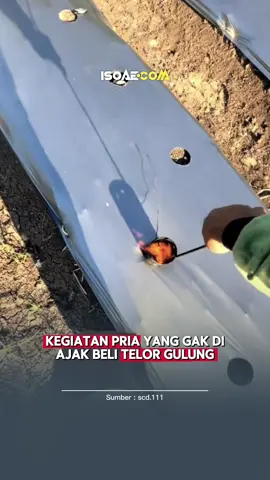 Ajak lah beli Telor gulung