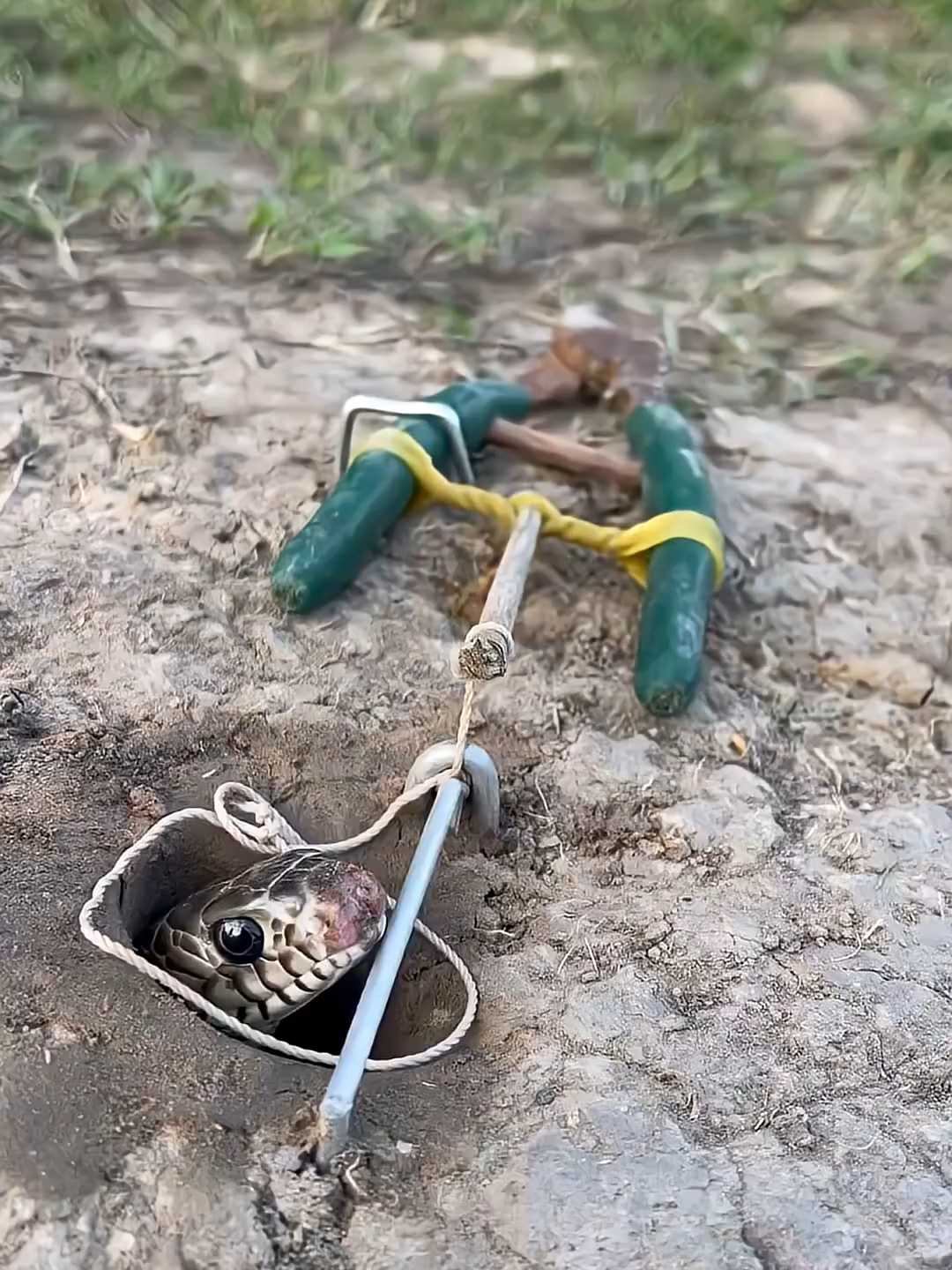 SMART idea and USEFUL With a snake trap  #survival #idea - CHOEN KH (1080p, h264, youtube)