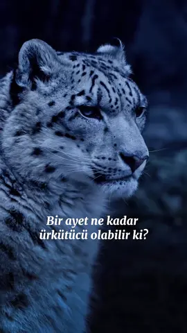 Dünya hayatı bitince, kimin kazançlı çıkacağını öğreneceksiniz… #ayet 