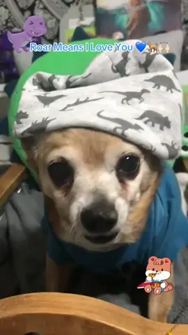 Rascal wants his midnight snack before he'll go to sleep 😴🩵🙏🦕#dogs #dogsoftiktok #fy #cutedog#funnydog