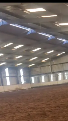 remeber there's never a bad day with horses it's always a learning day  #fyp #equestrian #dressage #mediumtrot #equestrianfyp 