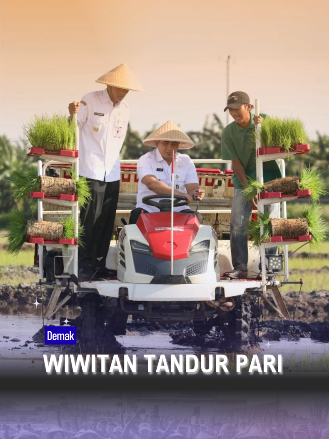 Normalisasi sungai yang dilakukan oleh Pemprov Jateng lebih dari 450 hektare lahan persawahan dari 512 hektare di empat desa, di Kecamatan Karangtengah, Demak, Alhamdulillah kini sudah bisa ditanami padi kembali. Kami berharap dengan dapat ditanamnya kembali khususnya di Karangtengah Demak dapat menambah stok padi di Jawa Tengah, sehingga swasembada pangan dapat meningkat. #jawatengah #tajyasin #ahmadluthfi #ngopeningelakoni