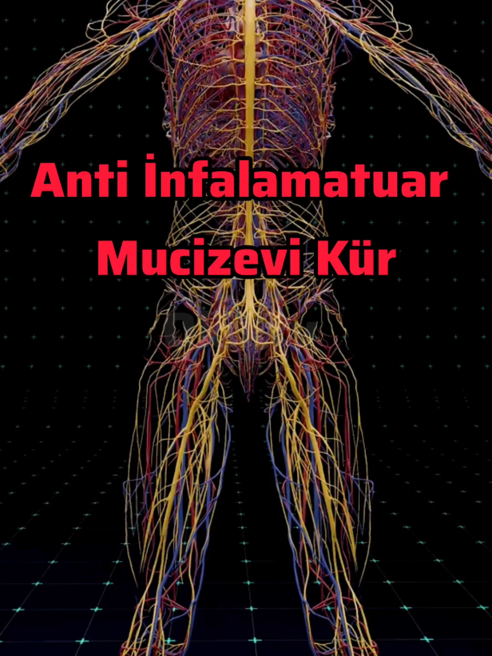 Anti İnfalamatuar Mucizevi Kür #bitkiseltedavi #sağlık #infalamatuar 