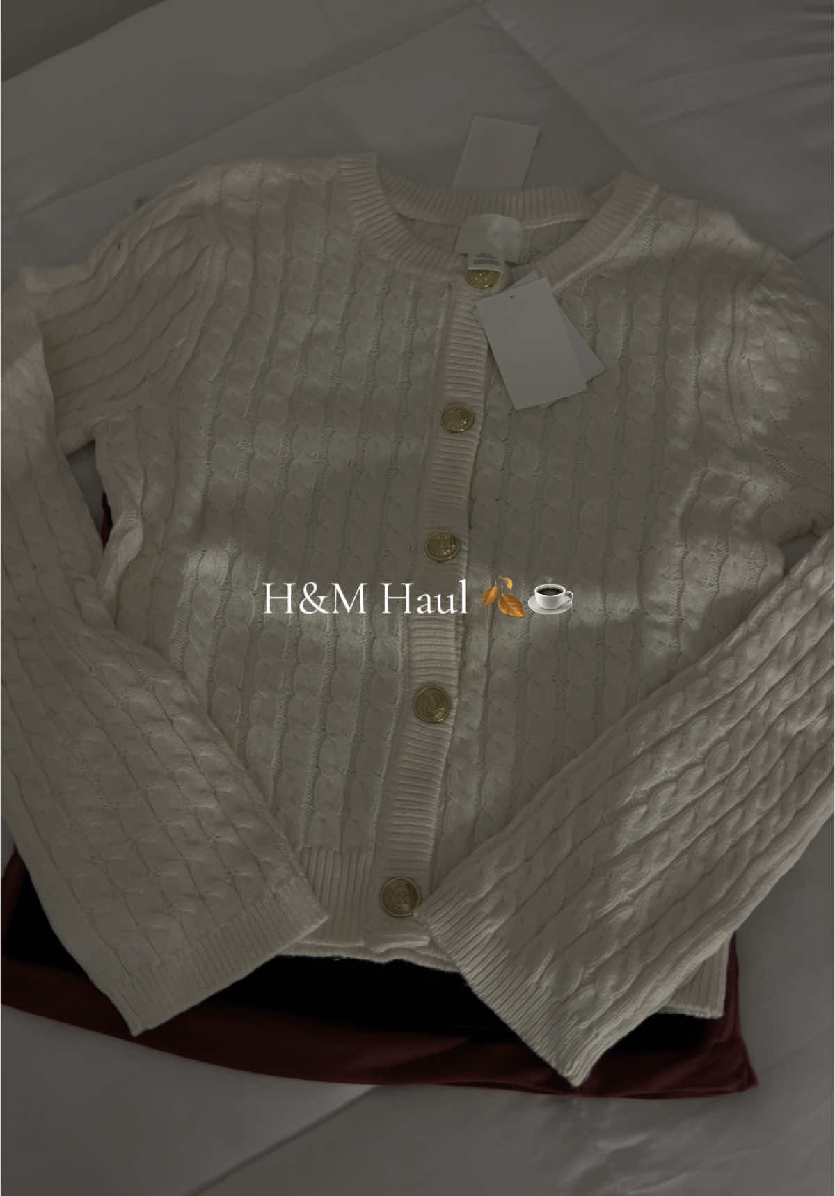 H&M ATE #fall #faullhaul #h&m #fallfashion #OOTD #ootdinspo @H&M 