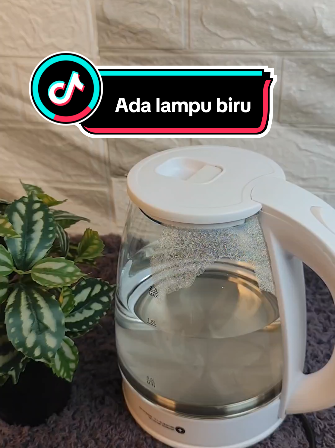 Blue light masa air didih! #water #hot #kitchen #kettle 