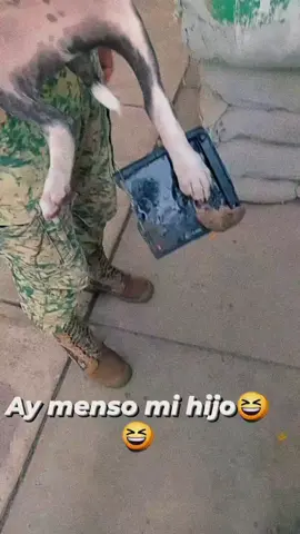 ay mijo🤣🪖