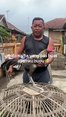 Nama yang cocok bosku #fyp #fypシ゚ #ayambangkoksuper 