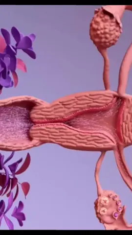 Fertilization process #viralvideo #foryou #viral #fyp 