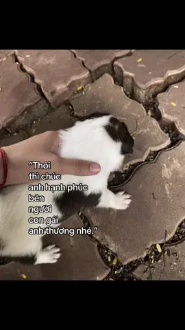 Chuc hanh phuc nhaaa….!#xhuongtiktok #xhuongtiktok 