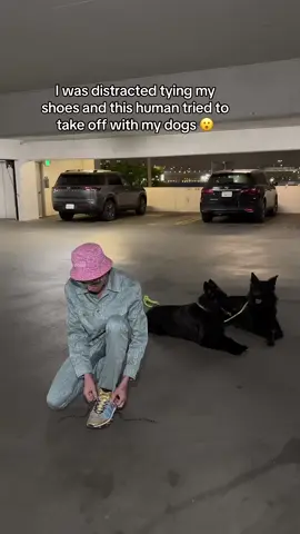 If You’re Ever In A Garage With Your Dog BEWARE!!