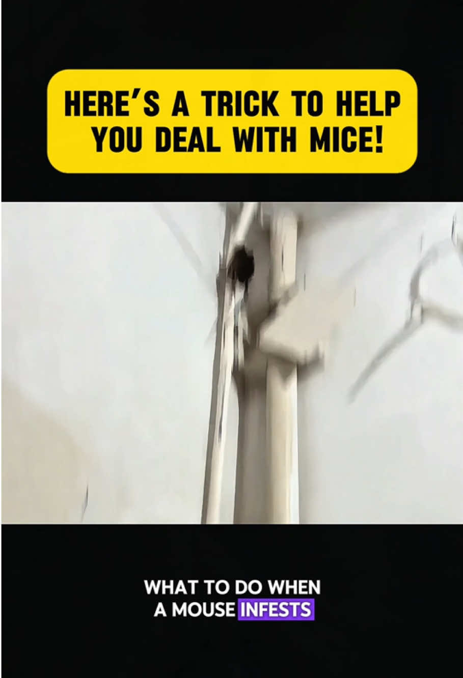 It's easy to install, and you can use it when you open it.#fpy #mousetrap #tiktok #tiktokshop #mouse 