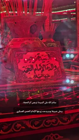 السيدة نرجس المظلومة(عليها السلام) الذي تعرضت للسجن والرقابة بعد استشهاد الإمام العسكري (ع)، لكن الله حماها وحفظ سرّها حتى تبقى الحجة الإلهية (الإمام المهدي عج) في مأمن. #سامراء_مدينه_الامامين_العسكريين  #العتبة_العسكرية_المقدسة  #السيدة_نرجس  @Esraa 