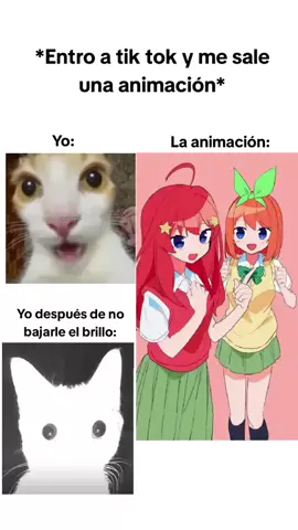 me pasó 😞#mikunakano #ninonakano #ichikanakano #itsukinakano #yotsubanakano 