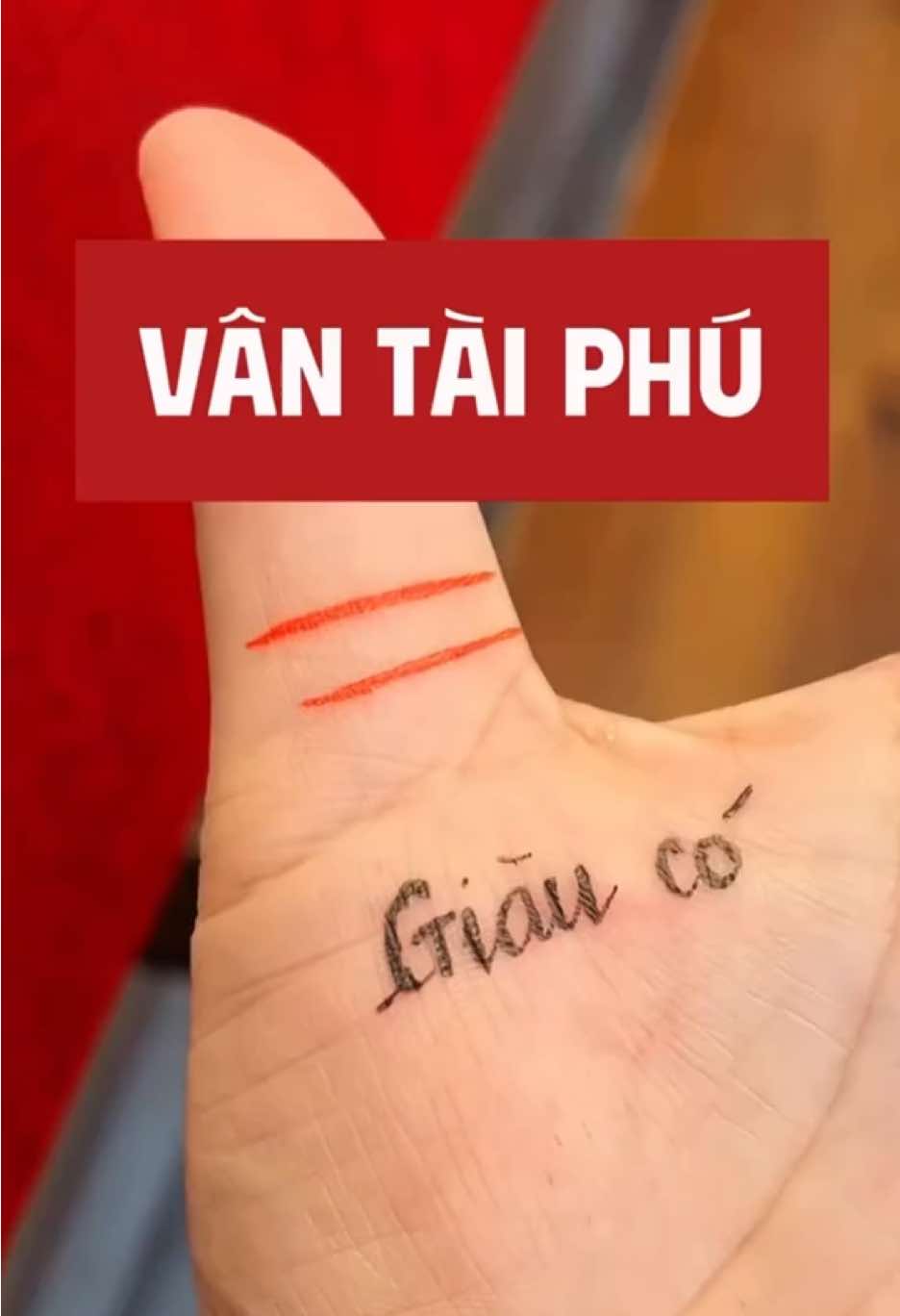 Vân tài phú - Giàu có #coutxemtay 