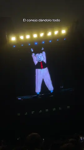 🐰#greenday #blitzkriegbop #theramones #concierto #peru 