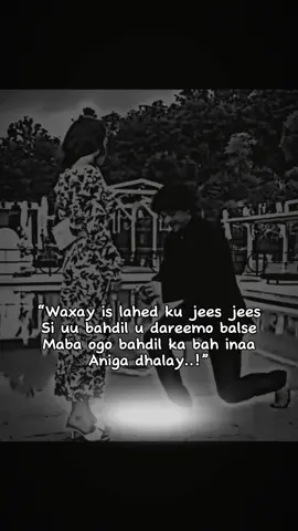 Wax walbo qiimahega ka ween..!” #fyp #xikmad #Ali #viral #viraltiktok #video #videoviral #viralvideos #VoiceEffects #vairal #foryou #foryoupage #fyppppppppppppppppppppppp #fypage #fypシ゚ @ㄈ Λ Ł ɪ📚💡 @T ᵢ G ₑ ᵣ 