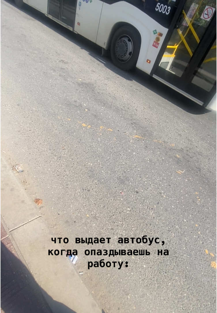 он в эдите #fyp #махачкала 