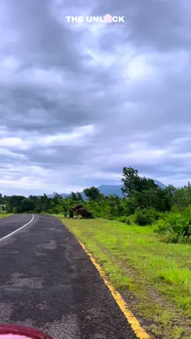 ပုပ္ပါးသွားတဲ့လမ်းလေး ဘယ်လောက်သာယာလိုက်လဲနော်…❤️🍃#myanmartiktok🇲🇲🇲🇲 #fyp #foryou #myanmar #f 