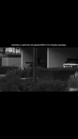 tgk:в профиле