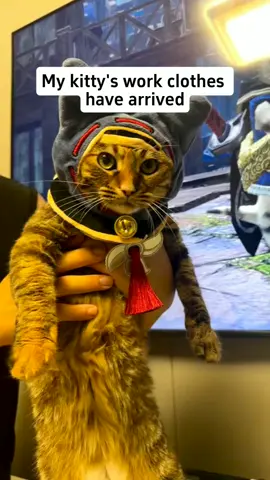 My kitty's work clothes have arrived #handmade #monsterhunter #felyne #cat #cathood 