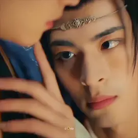 they so cute #killtolove #紫陌红尘 #zhangzhexu #mijin #chinesebl 