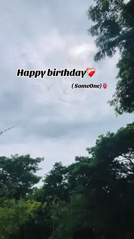 HAPPY BIRTHDAYY❤️‍🩹 (SomeoneO)🫀