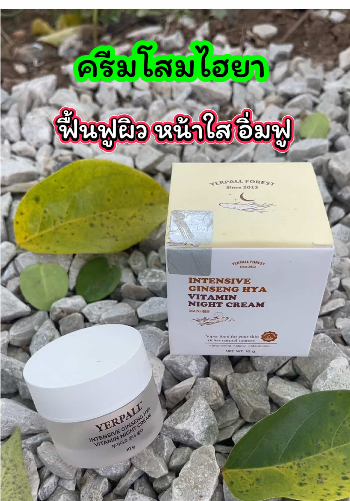 ครีมโสมไฮยา  ฟื้นฟูผิว หน้าใสอิ่มฟู สดใส #ฟื้นฟูผิว #รีวิวบิวตี้#ครีมโสมให้ยา#ช้อปกันวันเงินออก #เจ๊ฝนบอกพิกัด @เจ้ฝนบอกพิกัด  @เจ้ฝนบอกพิกัด  @เจ้ฝนบอกพิกัด 