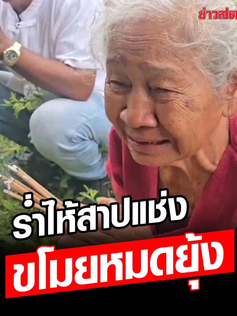 ร่ำไห้สาปแข่ง โจรใจโหดขโมยข้าวหมดยุ้ง ไม่เว้นแม้แต่ธนาคารข้าว เหนื่อยสายตัวแทบขาดกว่าจะได้แต่ละกระสอบ ขอให้เข้าป่าเจอแต่เสือ ลงน้ำเจอจระเข้ อย่างน้อยน่าเหลือให้กินบ้าง  #ยุ้งข้าว #ข้าว