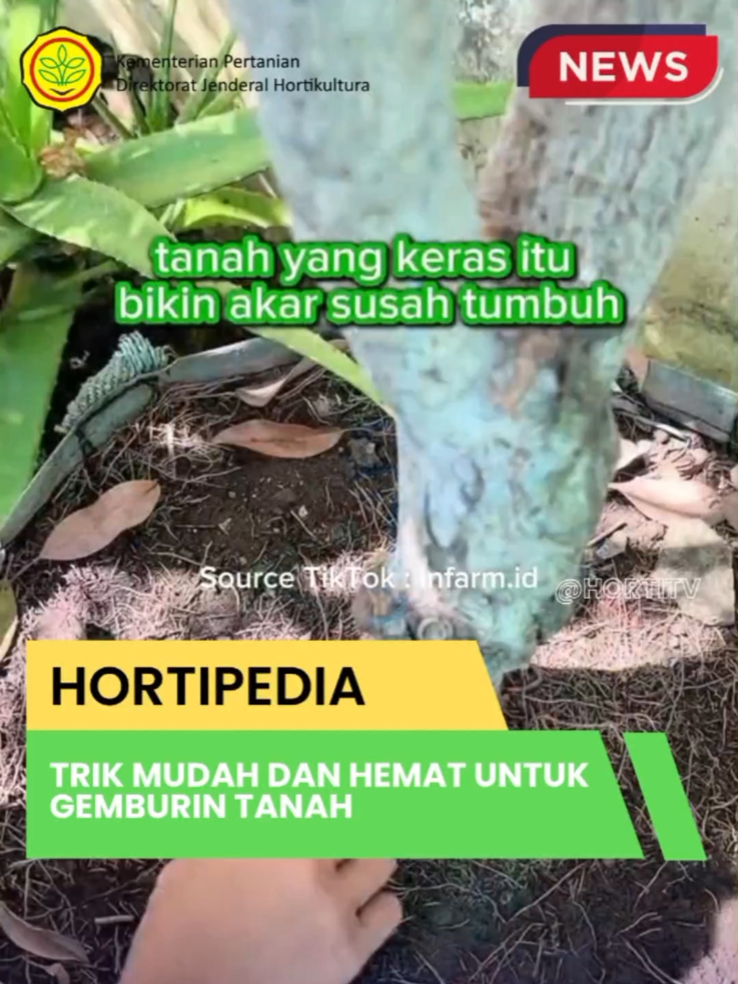 Akar tanamanmu susah tumbuh? Salah satu penyebabnya adalah tanah yang keras. Ingin tau cara menggemburkan tanah tanpa mengganti media tanam ? Simak Videonya. Sumber Tiktok:  @infarmid  @kementanri @lambetani  #kementan #tiktokviral #viraltiktok #virall #trendingtiktok #PetaniMuda #MediaTanam #tanahgembur