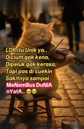 Tips kalo chat didiemin, chat lagi dia, bilang.. koq di diemin biar matangnya merata ya..? #violin #oyen #sadstory🥀 #contentcreators #fypシ゚viral 