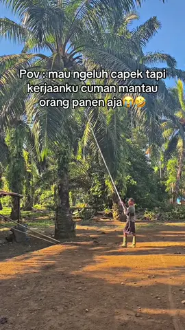 kadang jadi mandor kadang juga brondol😭🤣 #fyp #foryou #petanisawit #bosmuda #egreksawit 