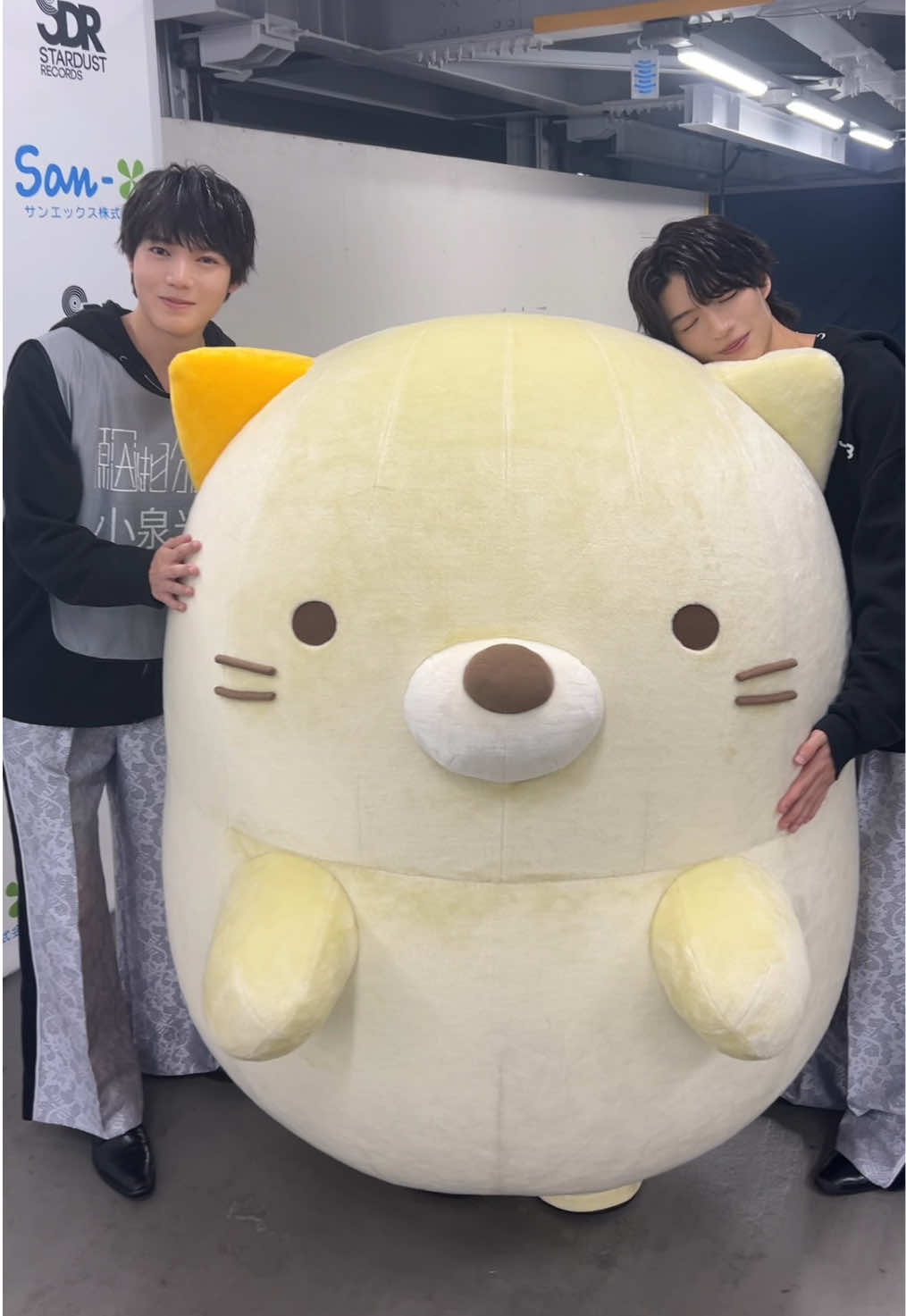 #すみっコぐらし より #ねこ と#小泉光咲 #杢代和人 で　#AntinomieChallenge ありがとうございました！！ @【公式】リラックマとすみっコぐらしたち 