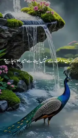 #unfreezemyacount #foru #videoviral #tranding #fyp 
