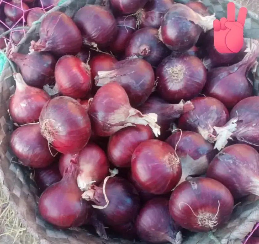 وصفات طبيعيه لانبات وتكثيف الشعرخلال شهر
