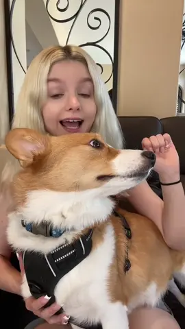 Astro isnt a fan of being in my TikToks but here he is